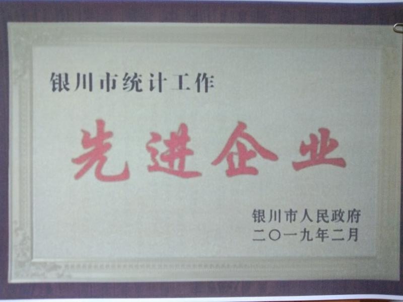 銀川市統(tǒng)計工作先進企業(yè)