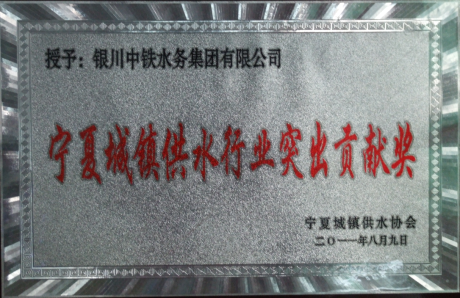 寧夏城鎮(zhèn)供水行業(yè)突出貢獻獎